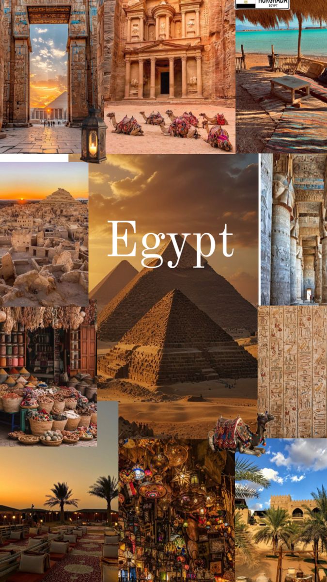 A Journey Through Time with Tripzy Tours